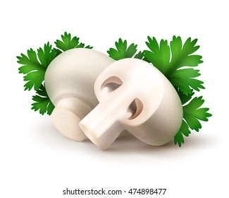 Vector Heap of Fresh Whole and Sliced Half White Portabello Agaricus  Champignons Mushrooms with Green Parsley Leaves Close up Isolated on White Background