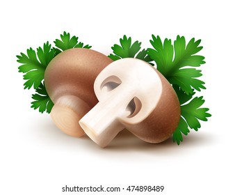 Vector Heap of Fresh Whole and Sliced Half Brown Portabello Agaricus  Champignons Mushrooms with Green Parsley Leaves Close up Isolated on White Background
