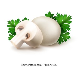 Vector Heap of Fresh Whole and Sliced Half White Portabello Agaricus  Champignons Mushrooms with Green Parsley Leaves Close up Isolated on White Background