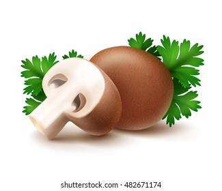Vector Heap of Fresh Whole and Sliced Half Brown Portabello Agaricus  Champignons Mushrooms with Green Parsley Leaves Close up Isolated on White Background