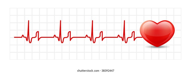 Vector heart cardiogram