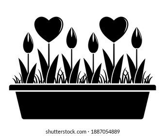 flores de corazón vectorial en el plantador aislado en fondo blanco