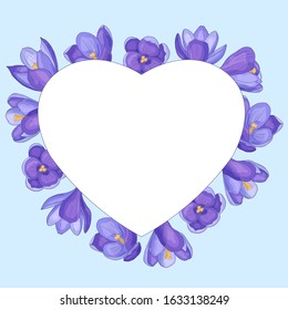 Vector heart frame with spring flowers: purple crocuses, on a white background, Valentine's day, for the design of greeting cards, covers, print on textiles