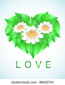 vector heart with fresh green leaves and chamomiles