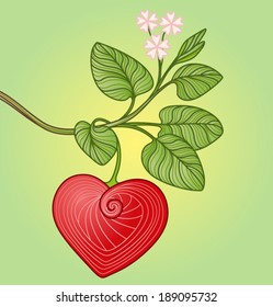 vector heart fruit with leafs and flowers