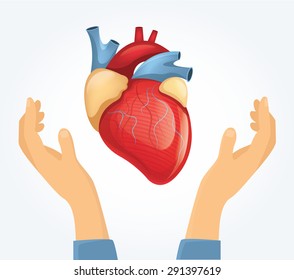 Vector heart in hands. Flat illustration