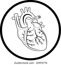 Vector heart icon. Black and white. Simply change. In my portfolio there is version 4 in 1.