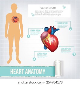 Vector heart infographics banner illustration