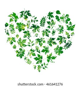 vector heart made of summer leaves on white background in grunge style