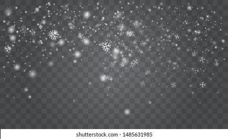 Vector heavy snowfall, snowflakes in different shapes and forms. Snow flakes, snow background. Falling Christmas Shining transparent beautiful, little snow