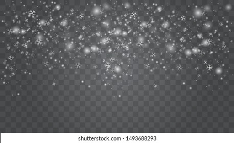 Vector heavy snowfall, snowflakes in different shapes and forms. Snow flakes, snow background. Falling Christmas Shining transparent beautiful, little snow