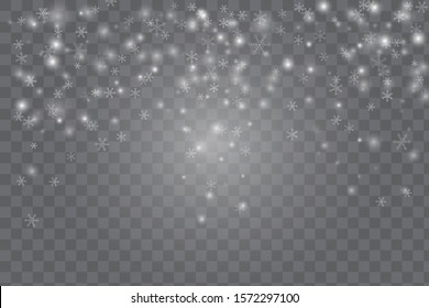 Vector heavy snowfall, snowflakes in different shapes and forms. Snow flakes, snow background. Falling Christmas Shining transparent beautiful, little snow
