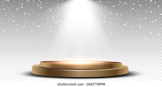 Vector heavy snowfall, snowflakes in different shapes and forms. Many white cold flake elements on transparent background. Snow flakes, snow background.