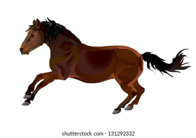 Vector heavy truck bay horse