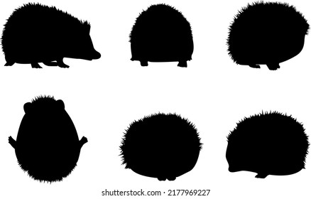 Vector hedgehog icons on isolated white background