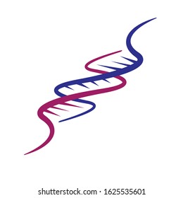 vector helix DNA strand icon isolated on white background