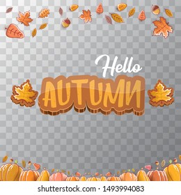 vector hello autumn banner or  label with text and falling autumn leaves isolated on transparent background. Cartoon hello autumn poster or banner