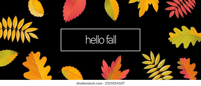 Vector Hello Fall Sale horizontal promotion banner. Bright warm colors design template. Vivid colorful realistic falling autumn leaves isolated on white background. Hello fall hand lettering
