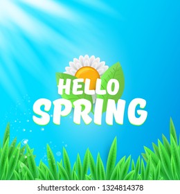 vector hello spring banner with green grass, blue sky and flowers. hello spring flyer, banner or background with green field landscape