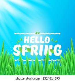 vector hello spring banner with green grass, blue sky and flowers. hello spring flyer, banner or background with green field landscape