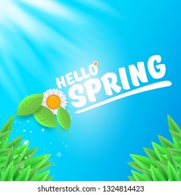 vector hello spring banner with green grass, blue sky and flowers. hello spring flyer, banner or background with green field landscape