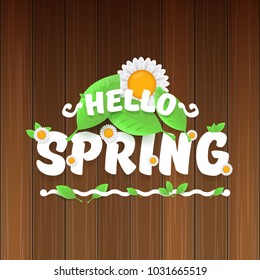 vector hello spring banner with text and flowers. hello spring slogan or label isolated on wooden background