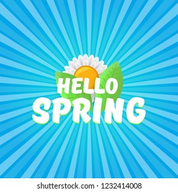 vector hello spring cut paper banner with text and flowers. hello spring slogan or label isolated on blue rays background