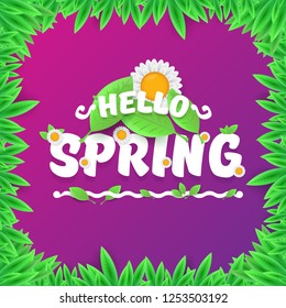vector hello spring cut paper banner with text and flowers. hello spring slogan or label isolated on violet background with green floral frame