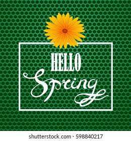 Vector Hello Spring Lettering Design.Green Banner with a Textured Carbon Grid Background and Text in Square Frame.