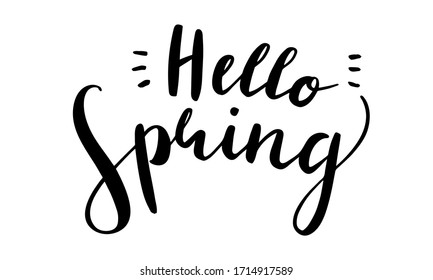 Vector Hello Spring lettering isolated on white background. Beautiful hand drawn calligraphy illustration for greeting card, invitation, poster, banner. Hello spring season typography.