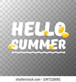 Vector Hello Summer Beach Party Flyer Design template with fresh lemon isolated on transparent background. Hello summer concept label or poster with orange fruit and typographic text.