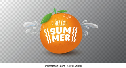 Vector Hello Summer horizontal banner or flyer Design template with fresh orange fruit isolated on transparent background. Hello summer concept label or poster with fruit and letternig text.