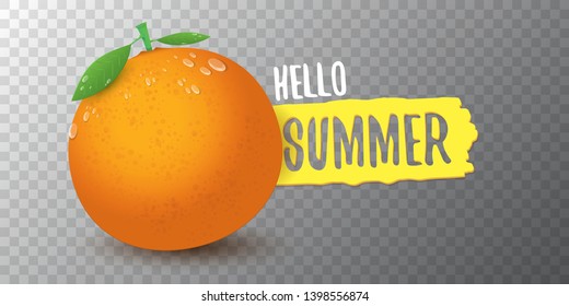 Vector Hello Summer horizontal banner or flyer Design template with fresh orange fruit isolated on transparent background. Hello summer concept label or poster with fruit and letternig text.