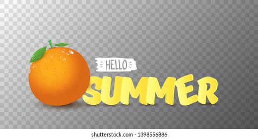 Vector Hello Summer horizontal banner or flyer Design template with fresh orange fruit isolated on transparent background. Hello summer concept label or poster with fruit and letternig text.