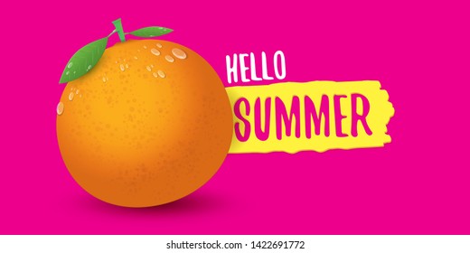 Vector Hello Summer horizontal banner or flyer Design template with fresh orange fruit isolated on pink background. Hello summer concept label or poster with fruit and letternig text 