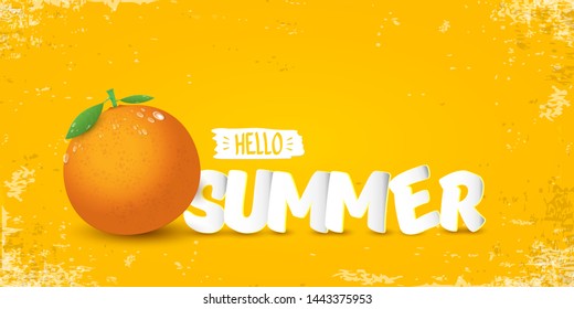Vector Hello Summer horizontal banner or flyer Design template with fresh orange fruit isolated on orange background. Hello summer concept label or poster with fruit and letternig text 