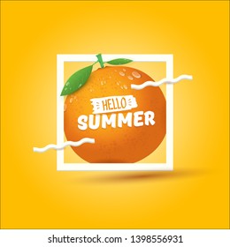 Vector Hello Summer label or flyer Design template with fresh orange fruit isolated on oarnge background. Hello summer concept label or poster with fruit and letternig text.