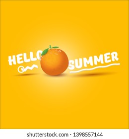 Vector Hello Summer label or flyer Design template with fresh orange fruit isolated on oarnge background. Hello summer concept label or poster with fruit and letternig text.