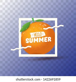 Vector Hello Summer label or flyer Design template with fresh orange fruit isolated on transparent background. Hello summer concept label or poster with fruit and letternig text.