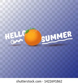 Vector Hello Summer label or flyer Design template with fresh orange fruit isolated on transparent background. Hello summer concept label or poster with fruit and letternig text.