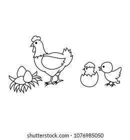 Vector hen, chicken, and eggs drawing style on an isolated white background. Hand drawn a graphic style. Detailed chicken family on a farm.  Great for print, paint or label.