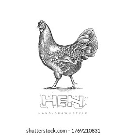 vector hen with hand drawn style, illustration of black and white animal