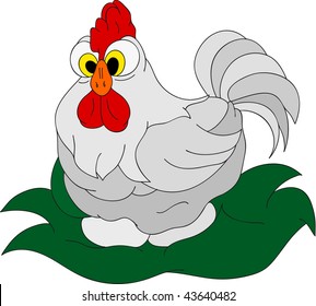 vector - hen isolated on background