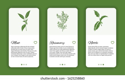 Vector herb cosmetic shop mobile application template. Modern illustration with herbs - rosemary, mint and nettle and text space for design and web.