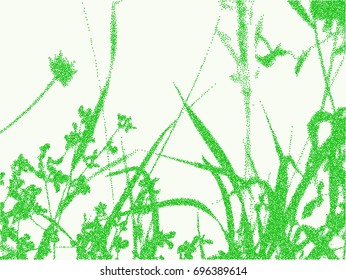 Vector herbal background.