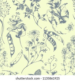 Vector herbal background with aroma and medicinal plants and herbs and green pea. Botanical ink drawn illustration in sketch style for wrapping, paper, fabric and other natural design.