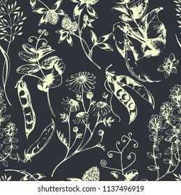 Vector herbal background with aroma and medicinal plants, green pea and herbs on black. Botanical ink drawn illustration in sketch style for wrapping, paper, fabric and other natural design.
