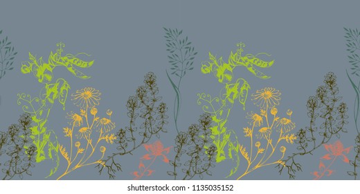 Vector herbal background border with aroma and medicinal plants and herbs on grey. Botanical ink drawn illustration in sketch style for wrapping, paper, fabric and other natural design.