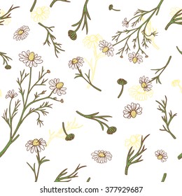 Vector herbal background with chamomile, leaves and branches. Lightness seamless pattern with botanical illustration. Decorative nature organic pattern with vintage medicinal flower. 