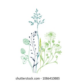 Vector herbal background with ink drawn green plants and herbs on white. Hand drawn botanical illustration in sketch style for card, invitation, print, book illustration and other nature design.